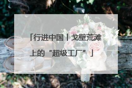 行进中国丨戈壁荒滩上的“超级工厂”