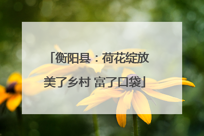 衡阳县：荷花绽放 美了乡村 富了口袋