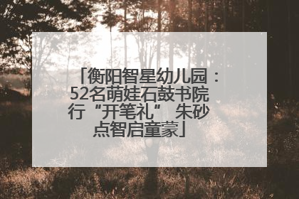 衡阳智星幼儿园：52名萌娃石鼓书院行“开笔礼” 朱砂点智启童蒙
