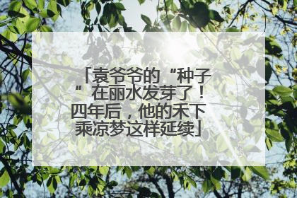 袁爷爷的“种子”在丽水发芽了！四年后，他的禾下乘凉梦这样延续