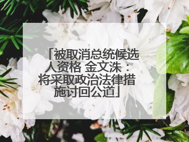 被取消总统候选人资格 金文洙：将采取政治法律措施讨回公道