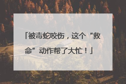 被毒蛇咬伤，这个“救命”动作帮了大忙！