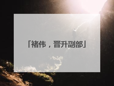 褚伟，晋升副部