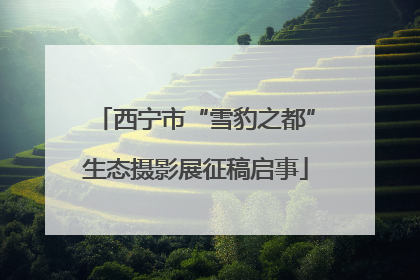 西宁市“雪豹之都”生态摄影展征稿启事
