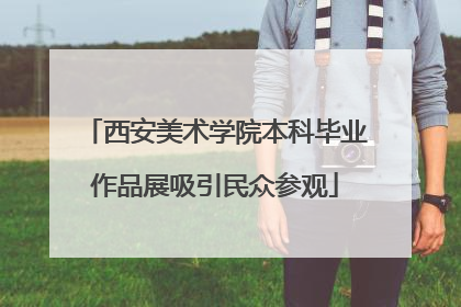西安美术学院本科毕业作品展吸引民众参观