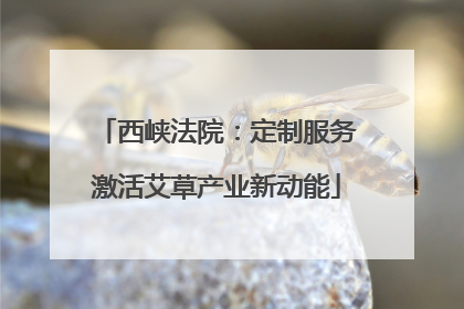西峡法院：定制服务激活艾草产业新动能