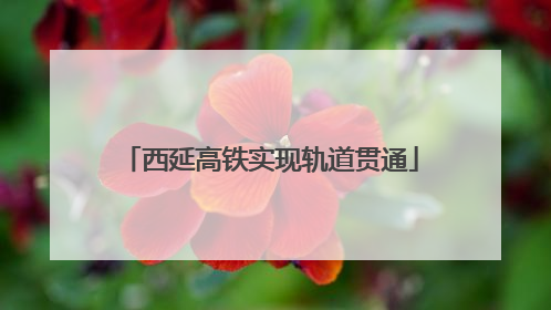 西延高铁实现轨道贯通
