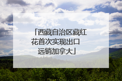 西藏自治区藏红花首次实现出口 远销加拿大