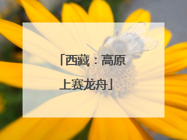 西藏：高原上赛龙舟
