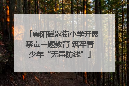 襄阳磁器街小学开展禁毒主题教育 筑牢青少年“无毒防线”