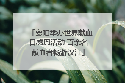 襄阳举办世界献血日感恩活动 百余名献血者畅游汉江