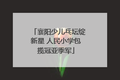 襄阳少儿乓坛绽新星 人民小学包揽冠亚季军