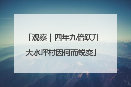 观察｜四年九倍跃升 大水坪村因何而蜕变