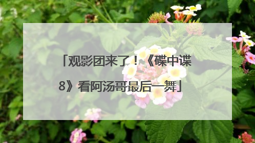 观影团来了！《碟中谍8》看阿汤哥最后一舞