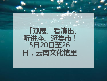 观展、看演出、听讲座、逛集市！5月20日至26日，云南文化馆里玩场多