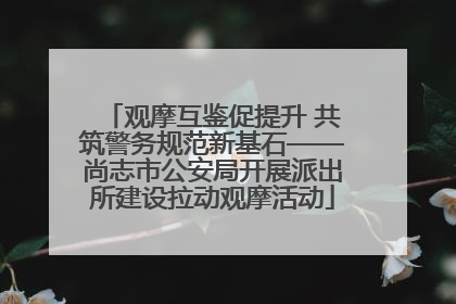 观摩互鉴促提升 共筑警务规范新基石——尚志市公安局开展派出所建设拉动观摩活动