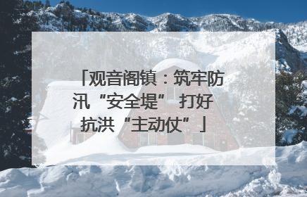 观音阁镇：筑牢防汛“安全堤” 打好抗洪“主动仗”