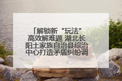 解锁新“玩法” 高效解难题 湖北长阳土家族自治县综治中心打造矛盾纠纷调处“终点站”