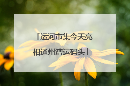 运河市集今天亮相通州漕运码头