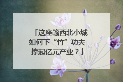 这座赣西北小城如何下“竹”功夫撑起亿元产业？