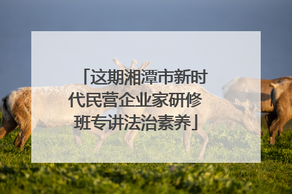 这期湘潭市新时代民营企业家研修班专讲法治素养