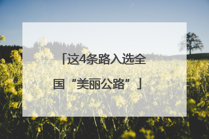 这4条路入选全国“美丽公路”