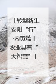 转型新生安阳“行”·内黄篇丨农业县有“大智慧”