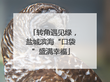 转角遇见绿，盐城滨海“口袋”盛满幸福