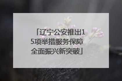 辽宁公安推出15项举措服务保障全面振兴新突破