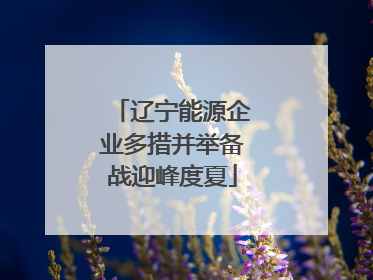 辽宁能源企业多措并举备战迎峰度夏