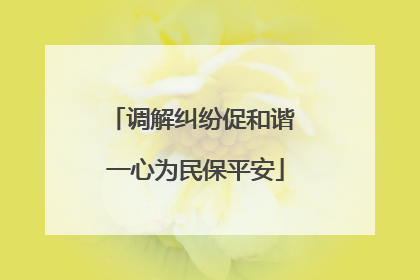 调解纠纷促和谐 一心为民保平安