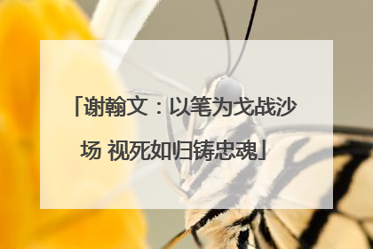 谢翰文：以笔为戈战沙场 视死如归铸忠魂