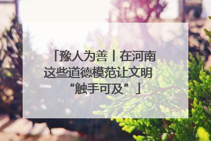 豫人为善丨在河南这些道德模范让文明“触手可及”