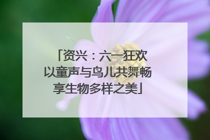 资兴：六一狂欢 以童声与鸟儿共舞畅享生物多样之美