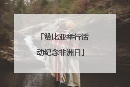 赞比亚举行活动纪念非洲日