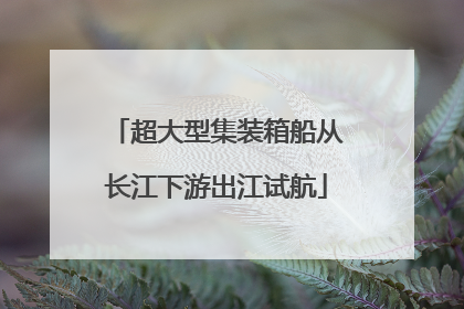 超大型集装箱船从长江下游出江试航