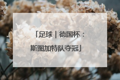 足球｜德国杯：斯图加特队夺冠