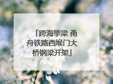 跨海擎梁 甬舟铁路西堠门大桥钢梁开架