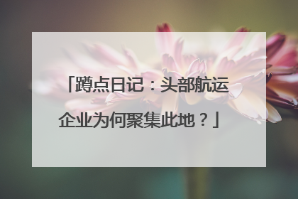 蹲点日记：头部航运企业为何聚集此地？