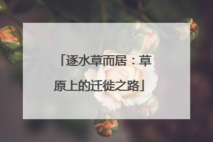 逐水草而居：草原上的迁徙之路