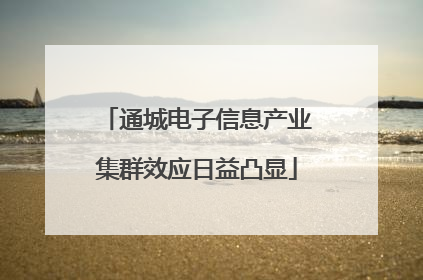 通城电子信息产业集群效应日益凸显