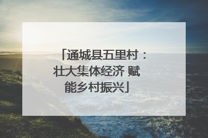通城县五里村：壮大集体经济 赋能乡村振兴