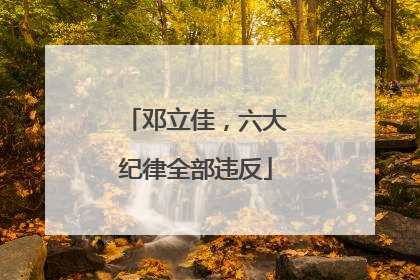 邓立佳，六大纪律全部违反
