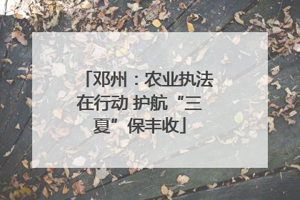 邓州：农业执法在行动 护航“三夏”保丰收