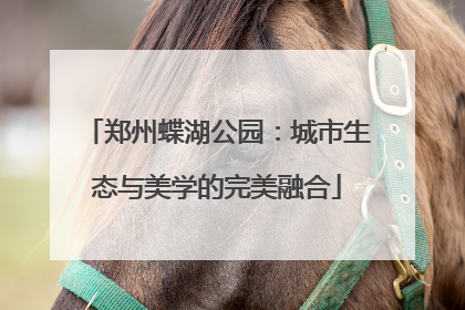 郑州蝶湖公园：城市生态与美学的完美融合