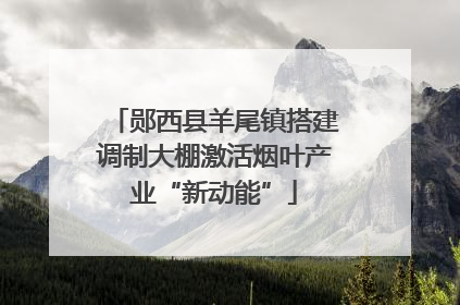 郧西县羊尾镇搭建调制大棚激活烟叶产业“新动能”