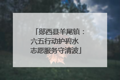 郧西县羊尾镇：六五行动护碧水 志愿服务守清波