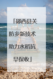 郧西县关防乡新技术助力水稻抗旱保收