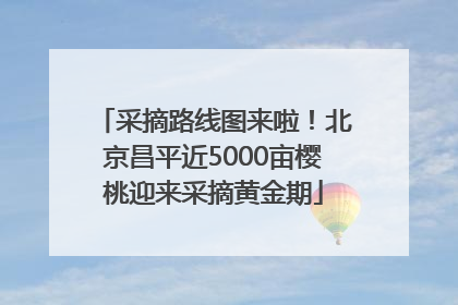采摘路线图来啦！北京昌平近5000亩樱桃迎来采摘黄金期