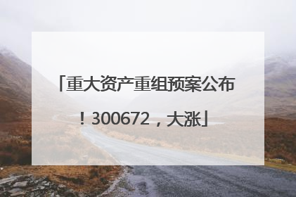 重大资产重组预案公布！300672，大涨